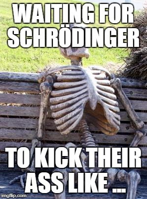Waiting Skeleton Meme | WAITING FOR SCHRÖDINGER; TO KICK THEIR ASS LIKE ... | image tagged in memes,waiting skeleton | made w/ Imgflip meme maker