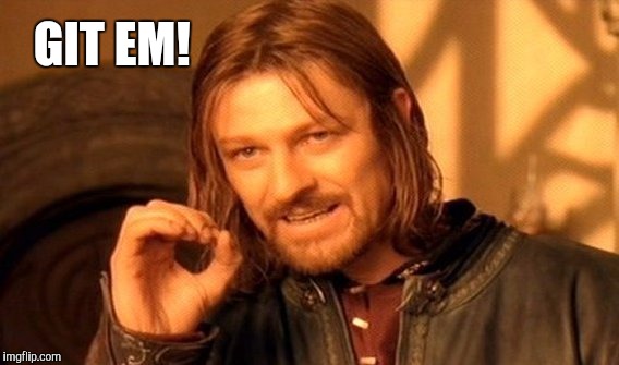 One Does Not Simply Meme | GIT EM! | image tagged in memes,one does not simply | made w/ Imgflip meme maker