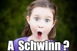 A Schwinn....and a Miss ! | A  Schwinn ? | image tagged in memes excited girl | made w/ Imgflip meme maker