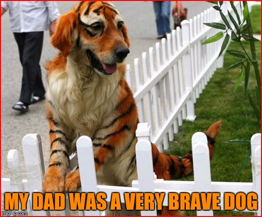 MY DAD WAS A VERY BRAVE DOG | made w/ Imgflip meme maker