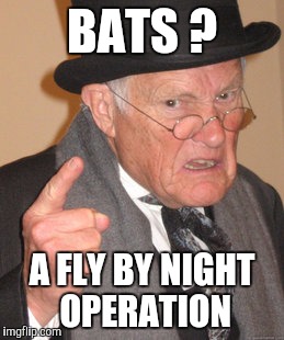 How can you TRUST Batman ? | BATS ? A FLY BY NIGHT OPERATION | image tagged in memes,back in my day | made w/ Imgflip meme maker