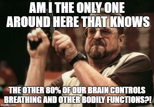 Am I The Only One Around Here Meme | AM I THE ONLY ONE AROUND HERE THAT KNOWS; THE OTHER 80% OF OUR BRAIN CONTROLS BREATHING AND OTHER BODILY FUNCTIONS?! | image tagged in memes,am i the only one around here | made w/ Imgflip meme maker