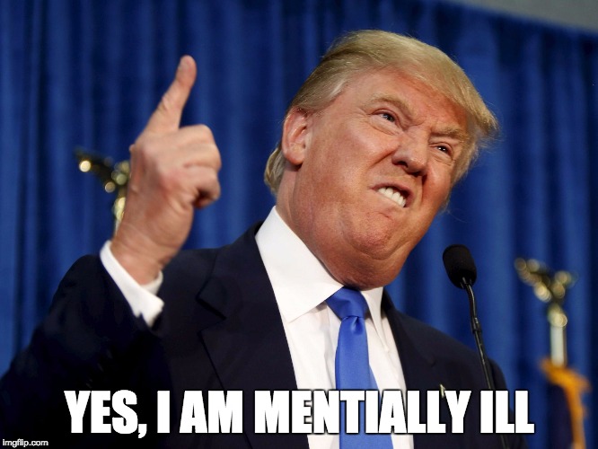 YES, I AM MENTIALLY ILL | image tagged in mental illness | made w/ Imgflip meme maker