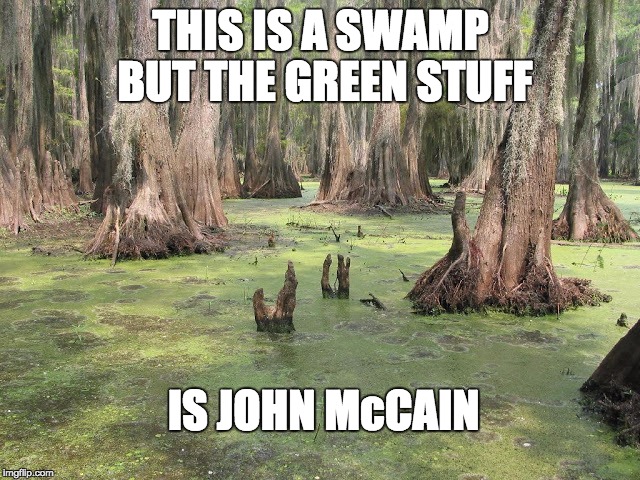 Swamp Creatures | THIS IS A SWAMP BUT THE GREEN STUFF; IS JOHN McCAIN | image tagged in john mccain,rino | made w/ Imgflip meme maker