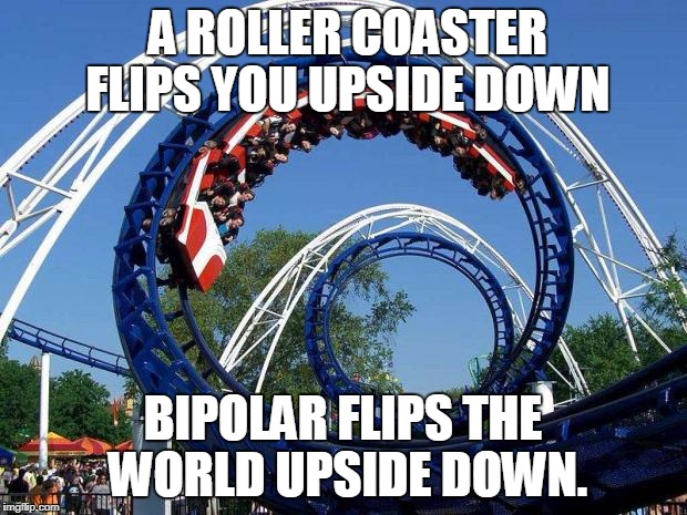 roller coaster | A ROLLER COASTER FLIPS YOU UPSIDE DOWN; BIPOLAR FLIPS THE WORLD UPSIDE DOWN. | image tagged in roller coaster | made w/ Imgflip meme maker