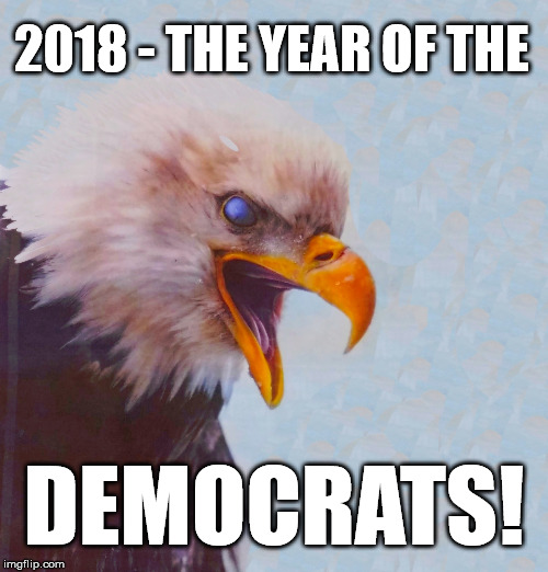 election 2018
 |  2018 - THE YEAR OF THE; DEMOCRATS! | image tagged in election 2018,democrats | made w/ Imgflip meme maker