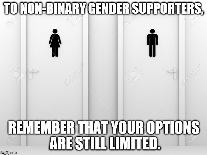 Toilet Doors |  TO NON-BINARY GENDER SUPPORTERS, REMEMBER THAT YOUR OPTIONS ARE STILL LIMITED. | image tagged in male,female,public toilet | made w/ Imgflip meme maker