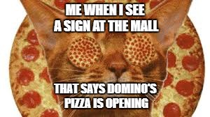 pizza cat | ME WHEN I SEE A SIGN AT THE MALL; THAT SAYS DOMINO'S PIZZA IS OPENING | image tagged in domino's,pizza,cat | made w/ Imgflip meme maker
