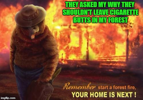 Smokey's revenge!!! |  THEY ASKED MY WHY THEY SHOULDN'T LEAVE CIGARETTE BUTTS IN MY FOREST | image tagged in disaster smokey,memes,forest fire,only you,funny,smokey the bear | made w/ Imgflip meme maker