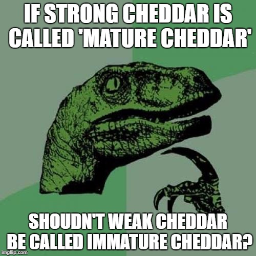 Philosoraptor Meme | IF STRONG CHEDDAR IS CALLED 'MATURE CHEDDAR'; SHOUDN'T WEAK CHEDDAR BE CALLED IMMATURE CHEDDAR? | image tagged in memes,philosoraptor | made w/ Imgflip meme maker