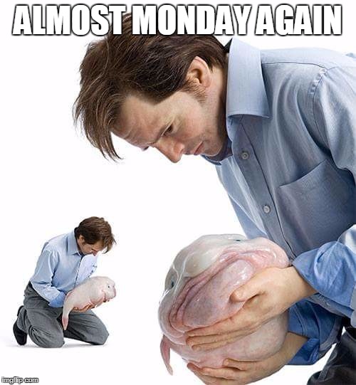 Friday fish | ALMOST MONDAY AGAIN | image tagged in depressed,nihilist,friday | made w/ Imgflip meme maker