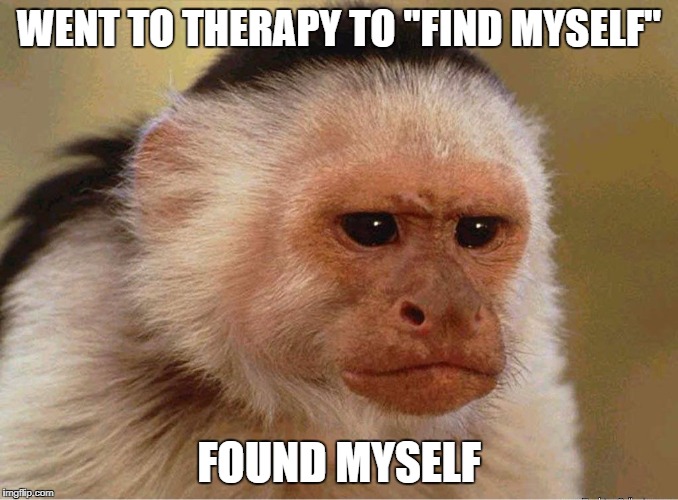 WENT TO THERAPY TO "FIND MYSELF"; FOUND MYSELF | image tagged in monkey disappointed | made w/ Imgflip meme maker
