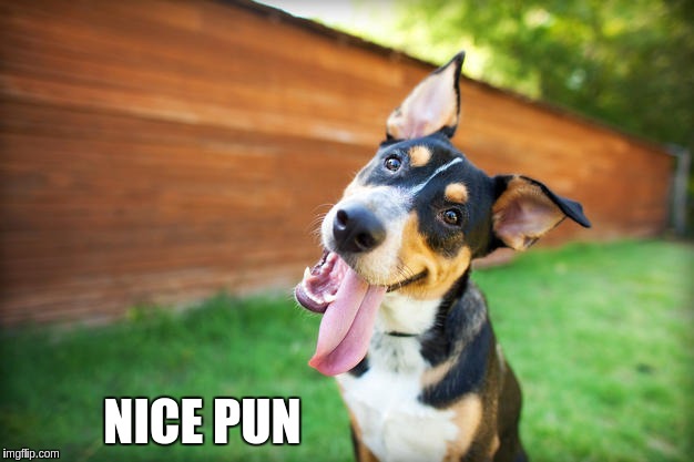 NICE PUN | made w/ Imgflip meme maker