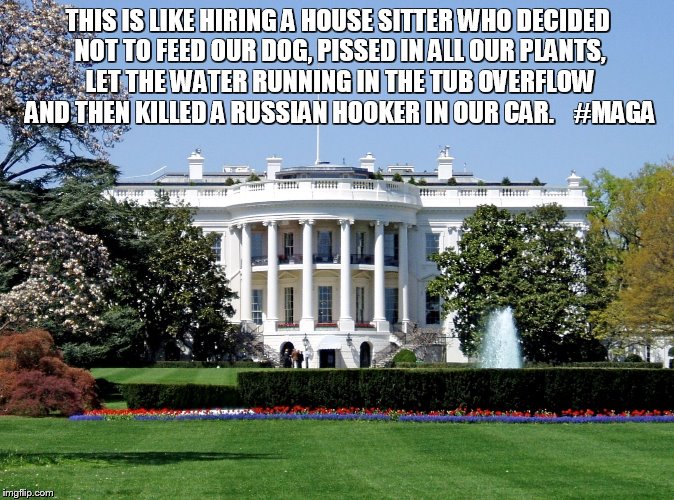 White House | THIS IS LIKE HIRING A HOUSE SITTER WHO DECIDED NOT TO FEED OUR DOG, PISSED IN ALL OUR PLANTS, LET THE WATER RUNNING IN THE TUB OVERFLOW AND THEN KILLED A RUSSIAN HOOKER IN OUR CAR.    #MAGA | image tagged in white house | made w/ Imgflip meme maker