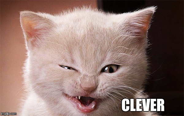 CLEVER | made w/ Imgflip meme maker