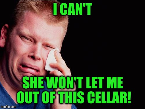 cry | I CAN'T SHE WON'T LET ME OUT OF THIS CELLAR! | image tagged in cry | made w/ Imgflip meme maker