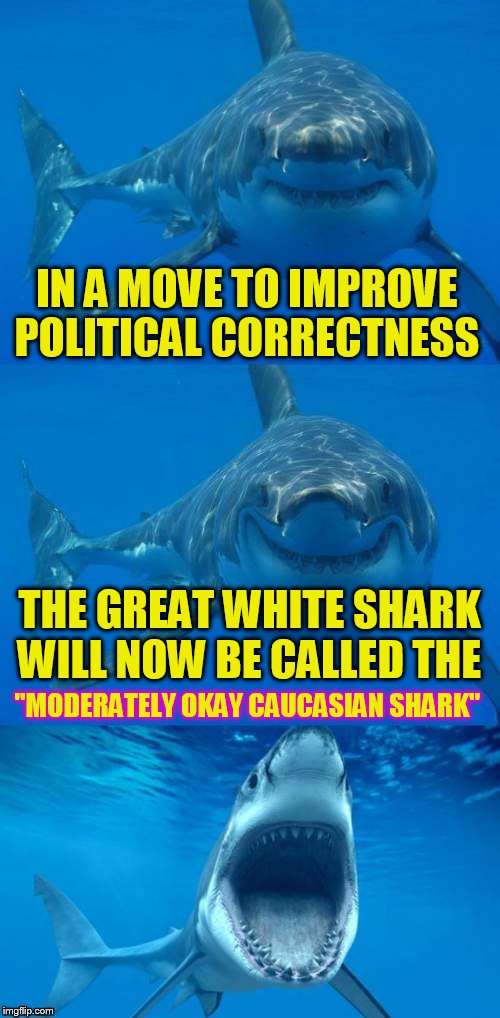 Shark Week! A Raydog and Discovery Channel Event July 23rd - 30th | IN A MOVE TO IMPROVE POLITICAL CORRECTNESS; THE GREAT WHITE SHARK WILL NOW BE CALLED THE; ''MODERATELY OKAY CAUCASIAN SHARK'' | image tagged in bad shark pun,shark week,dashhopes,repost,political correctness,great white shark | made w/ Imgflip meme maker