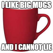 I LIKE BIG MUGS; AND I CANNOT LIE | image tagged in cher | made w/ Imgflip meme maker