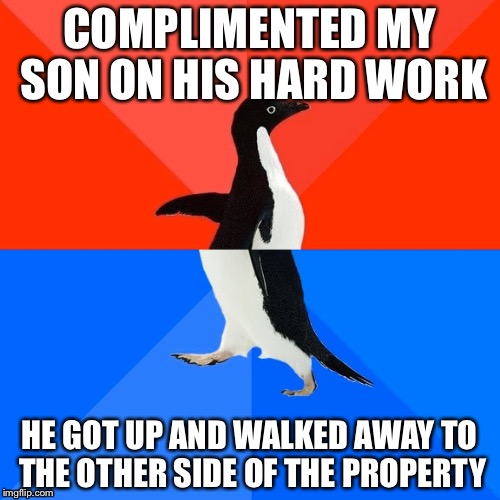 Socially Awesome Awkward Penguin Meme | COMPLIMENTED MY SON ON HIS HARD WORK; HE GOT UP AND WALKED AWAY TO THE OTHER SIDE OF THE PROPERTY | image tagged in memes,socially awesome awkward penguin | made w/ Imgflip meme maker