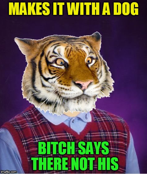 MAKES IT WITH A DOG B**CH SAYS THERE NOT HIS | image tagged in bad luck tiger | made w/ Imgflip meme maker