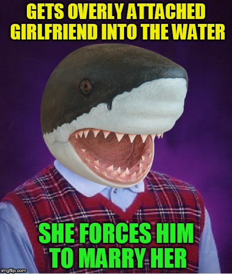 Bad Luck Shark | GETS OVERLY ATTACHED GIRLFRIEND INTO THE WATER SHE FORCES HIM TO MARRY HER | image tagged in bad luck shark | made w/ Imgflip meme maker