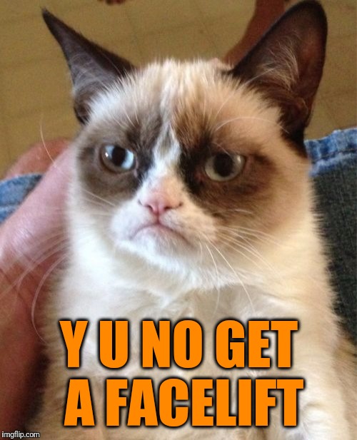 Grumpy Cat Meme | Y U NO GET A FACELIFT | image tagged in memes,grumpy cat | made w/ Imgflip meme maker