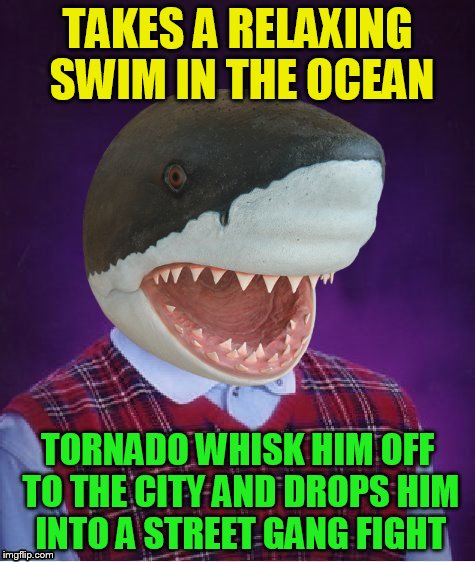 Bad Luck Shark | TAKES A RELAXING SWIM IN THE OCEAN TORNADO WHISK HIM OFF TO THE CITY AND DROPS HIM INTO A STREET GANG FIGHT | image tagged in bad luck shark | made w/ Imgflip meme maker