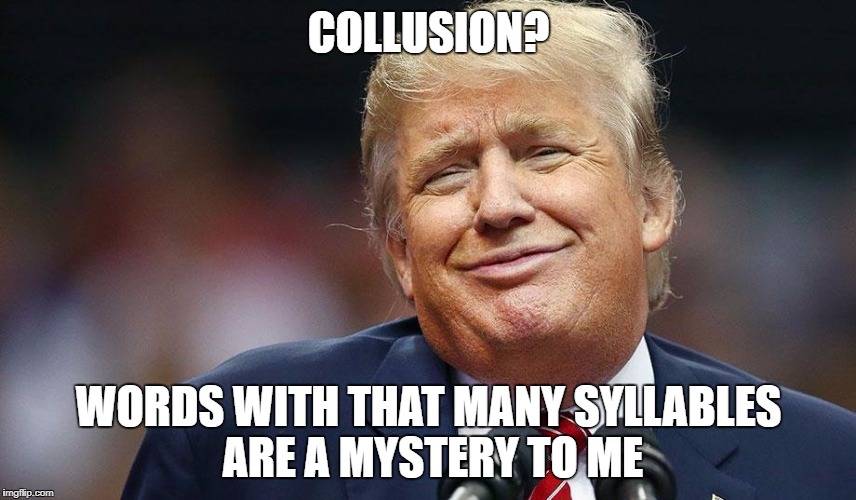Trump anti intellectualism | COLLUSION? WORDS WITH THAT MANY SYLLABLES ARE A MYSTERY TO ME | image tagged in donald trump,trump,orange buffon,dumb,low iq,trump russia collusion | made w/ Imgflip meme maker