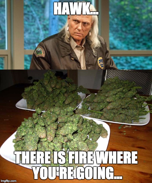 Hawk, there is fire where you're going | HAWK... THERE IS FIRE WHERE YOU'RE GOING... | image tagged in twin peaks | made w/ Imgflip meme maker