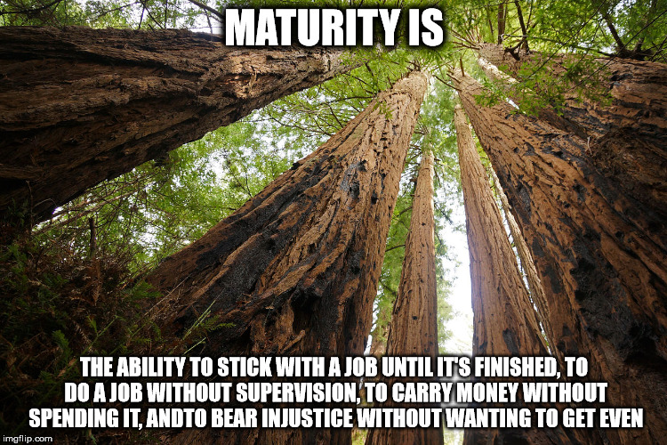 MATURITY IS; THE ABILITY TO STICK WITH A JOB UNTIL IT'S FINISHED,
TO DO A JOB WITHOUT SUPERVISION,
TO CARRY MONEY WITHOUT SPENDING IT, ANDTO BEAR INJUSTICE WITHOUT WANTING TO GET EVEN | made w/ Imgflip meme maker