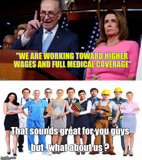 The Insurance companies are happy , too ! | image tagged in chuck schumer,nancy pelosi,people,screwed,again | made w/ Imgflip meme maker