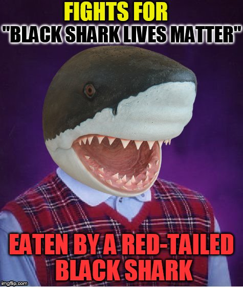Bad Luck Shark | ''BLACK SHARK LIVES MATTER'' EATEN BY A RED-TAILED BLACK SHARK FIGHTS FOR | image tagged in bad luck shark | made w/ Imgflip meme maker