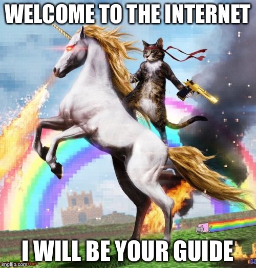 Welcome To The Internets | WELCOME TO THE INTERNET; I WILL BE YOUR GUIDE | image tagged in memes,welcome to the internets | made w/ Imgflip meme maker