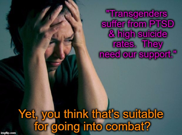 Military Trans | "Transgenders suffer from PTSD & high suicide rates.  They need our support."; Yet, you think that's suitable for going into combat? | image tagged in suicide,mental health,military | made w/ Imgflip meme maker
