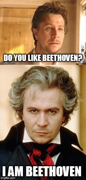 Do you like Beethoven  | image tagged in gary oldman,the professional,beethoven,immortal beloved,luc besson,memes | made w/ Imgflip meme maker