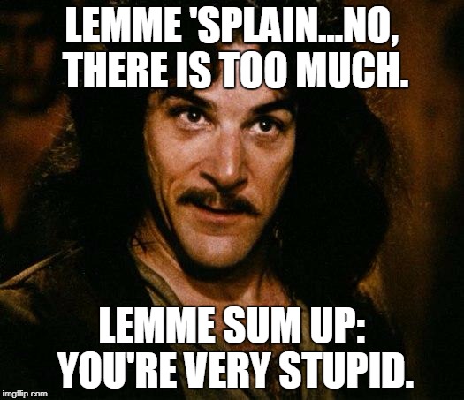 Inigo Montoya Meme | LEMME 'SPLAIN...NO, THERE IS TOO MUCH. LEMME SUM UP: YOU'RE VERY STUPID. | image tagged in memes,inigo montoya | made w/ Imgflip meme maker