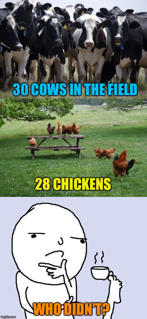 Riddle me this, SpiritualFox ! | 30 COWS IN THE FIELD; 28 CHICKENS; WHO DIDN'T? | image tagged in memes,cows,chickens,riddles and brainteasers | made w/ Imgflip meme maker