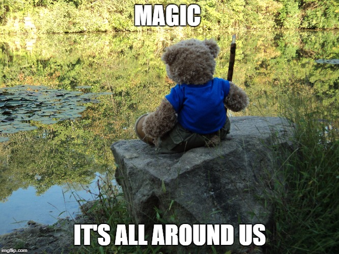 magic lake | MAGIC; IT'S ALL AROUND US | image tagged in funny,magic,teddy bear | made w/ Imgflip meme maker