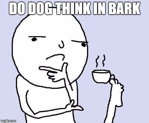 thinking meme | DO DOG THINK IN BARK | image tagged in thinking meme | made w/ Imgflip meme maker