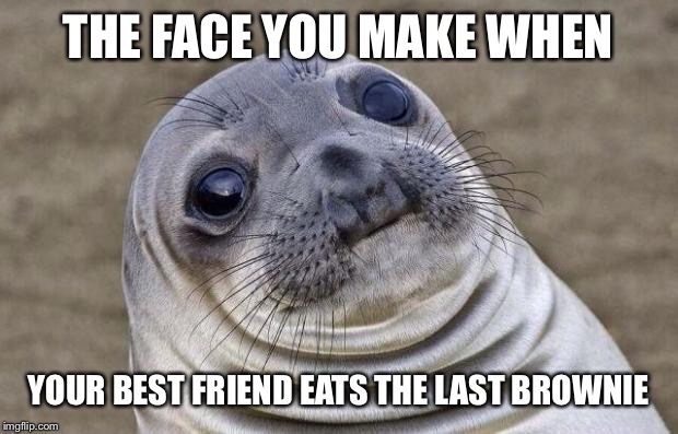 Awkward Moment Sealion Meme | THE FACE YOU MAKE WHEN; YOUR BEST FRIEND EATS THE LAST BROWNIE | image tagged in memes,awkward moment sealion | made w/ Imgflip meme maker