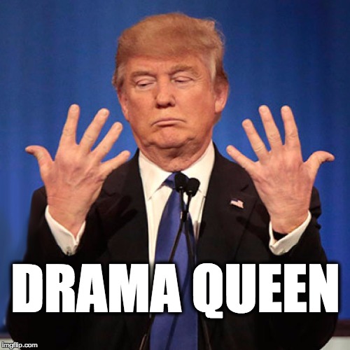 drama queen trump | DRAMA QUEEN | image tagged in trump,donald trump,potus45,maga,usa | made w/ Imgflip meme maker