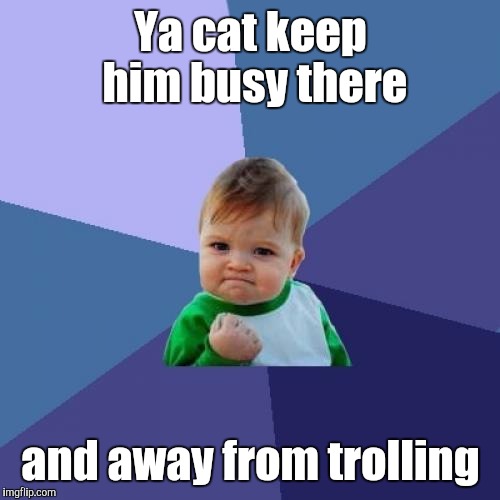 Success Kid Meme | Ya cat keep him busy there and away from trolling | image tagged in memes,success kid | made w/ Imgflip meme maker