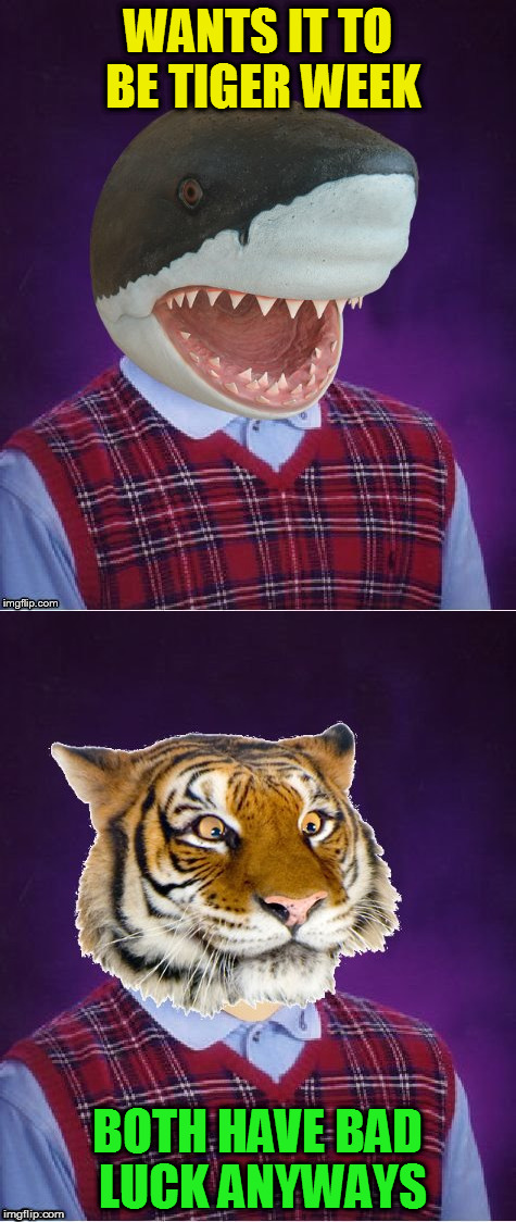 WANTS IT TO BE TIGER WEEK BOTH HAVE BAD LUCK ANYWAYS | made w/ Imgflip meme maker