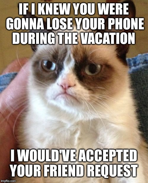 Grumpy Cat Meme | IF I KNEW YOU WERE GONNA LOSE YOUR PHONE DURING THE VACATION; I WOULD'VE ACCEPTED YOUR FRIEND REQUEST | image tagged in memes,grumpy cat | made w/ Imgflip meme maker