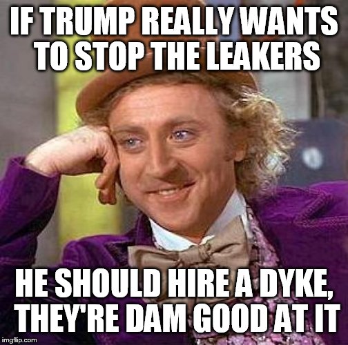 Creepy Condescending Wonka Meme | IF TRUMP REALLY WANTS TO STOP THE LEAKERS; HE SHOULD HIRE A DYKE, THEY'RE DAM GOOD AT IT | image tagged in memes,creepy condescending wonka | made w/ Imgflip meme maker