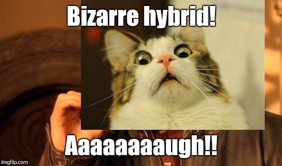 Bizarre hybrid! Aaaaaaaaugh!! | made w/ Imgflip meme maker