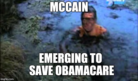 ***** Those WASHINGTON DC Swamps ***** | MCCAIN; EMERGING TO SAVE OBAMACARE​ | image tagged in memes,funny,gifs,animals,john mccain,political meme | made w/ Imgflip meme maker