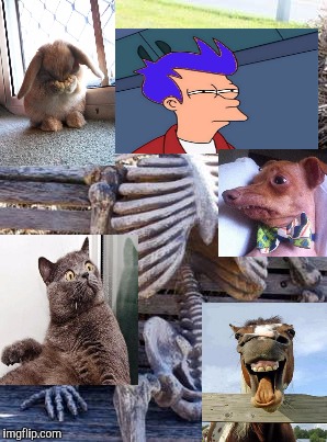 LIFE IS COMPLICATED | image tagged in funny,waiting skeleton,animals,artistic,memes,futurama fry | made w/ Imgflip meme maker