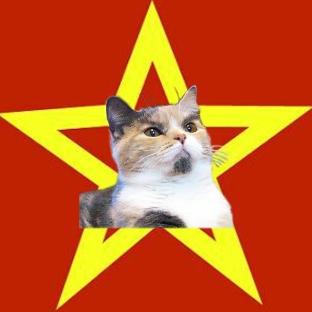 High Quality Lenin Cat Blank Meme Template