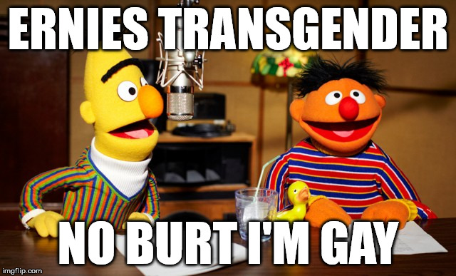 transgender | ERNIES TRANSGENDER; NO BURT I'M GAY | image tagged in sesame street,transgender,gay,funny | made w/ Imgflip meme maker